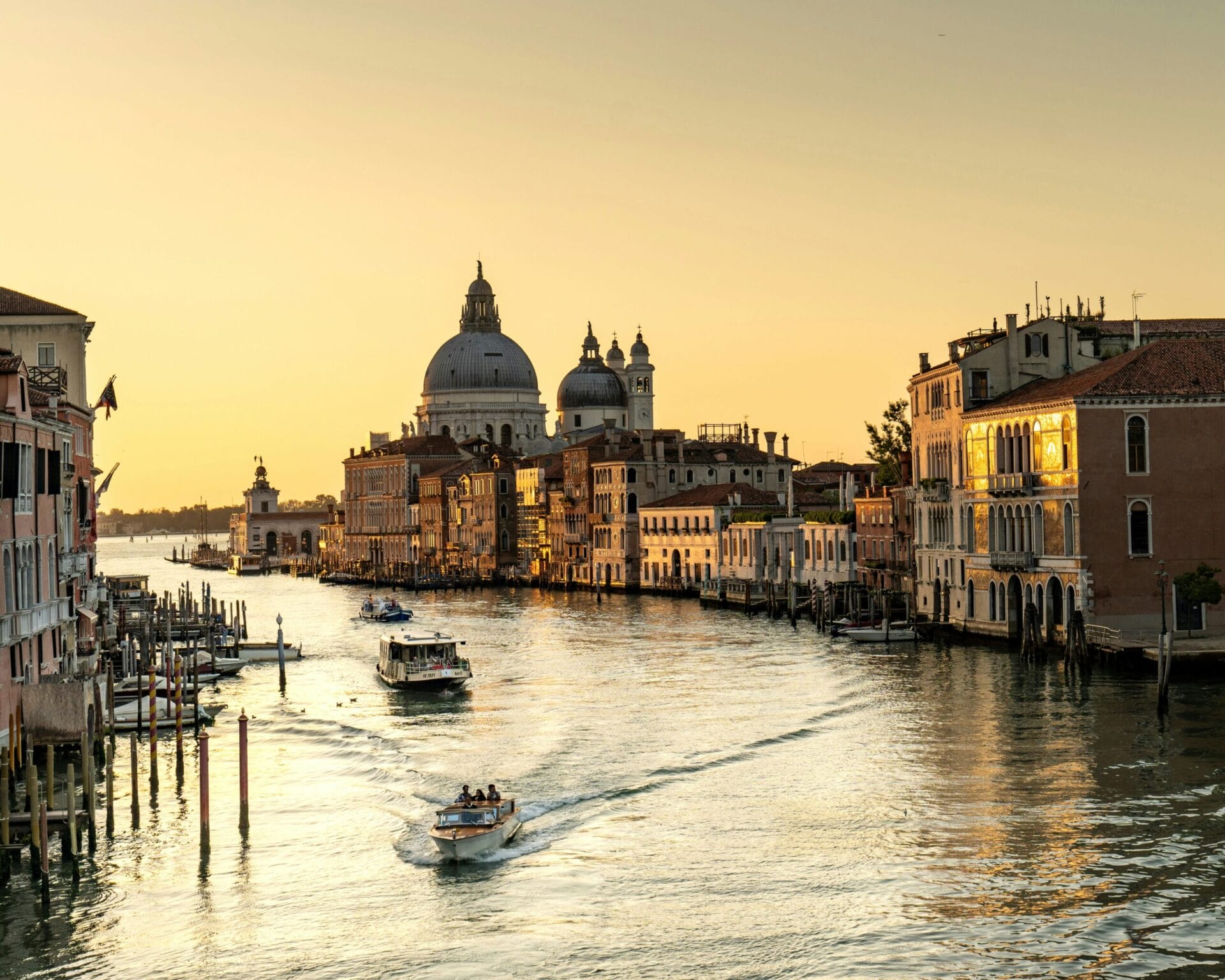 martin-bennie-iHG0GLcmA8Y-unsplash